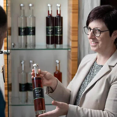 Garni Thermenglueck Hotel Unterlamm (Styria)