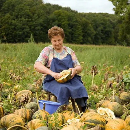 Hotel Garni Thermenglueck