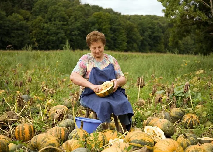 Hotel Garni Thermenglück